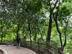 -东莞市大岭山森林公园