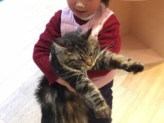 -Pets First伊珊娜洗护·精致美容·家庭式寄养(新会路店)