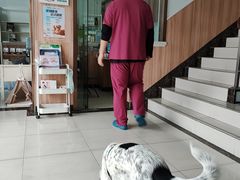 -瑞鹏宠物医院·内科·中兽医·骨科(苗圃店)