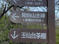 -阳台山自然风景区