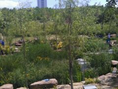 -小绿谷公园