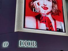 -Dior迪奥(上海世茂广场店)