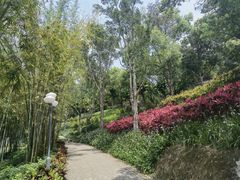 -深圳龙潭公园