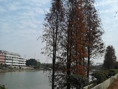 -黄埔古港