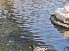 -水磨沟公园