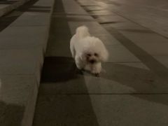-世博源公馆·本帮融合菜·主题包厢·江景餐厅