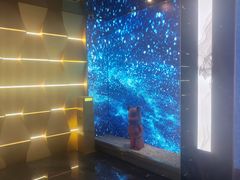 -臻享足道·HIFI影院足疗SPA(成华店)