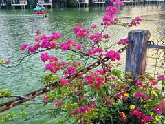 -观澜山水田园