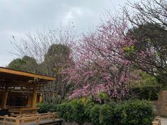 -阿斯牛牛十二餐厅•四季餐厅(民族大道店)