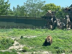 -上海野生动物园