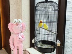 -上海崇明金茂凯悦酒店