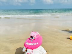 -西涌国际滨海旅游区