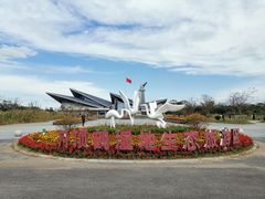 -盐城丹顶鹤湿地生态旅游区