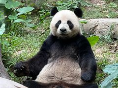 -广州长隆野生动物世界
