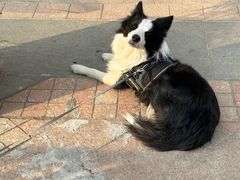 -隹木咖啡馆(宝龙广场店)