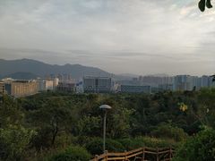 -聚龙山公园