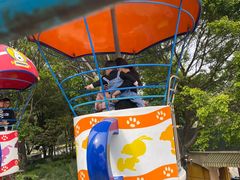 -史努比缤纷世界