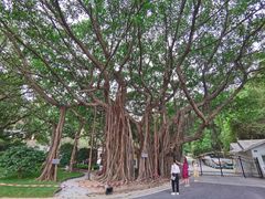 -广州市白云山风景名胜区