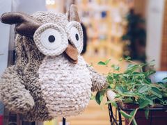 -猫的天空之城概念书店(印象城购物中心店)