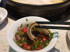 胡椒猪肚鸡-顺德公广东猪肚鸡·煲仔饭(白石洲店)