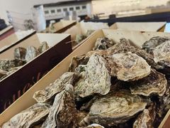 -斯普汇生蚝牛排馆(中骏世界城店)