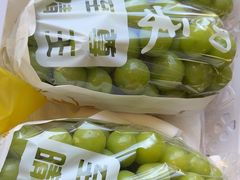 -马陆小张葡萄园农家乐