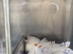 -半岛宠物医院24小时(科华中路店)