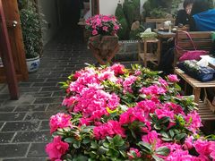 -丽江庭院之爱在路上(西单店)