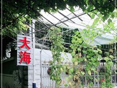 -大海别墅民宿农家院(十渡店)