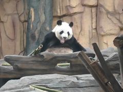 -泉州海丝野生动物世界