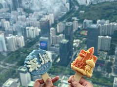 -平安金融中心云际观光层
