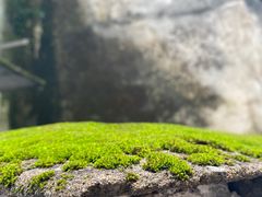 -丝绸小镇荻港古村