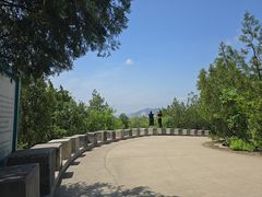 -府君山公园