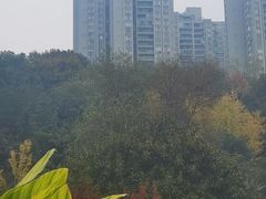 -龙头寺公园