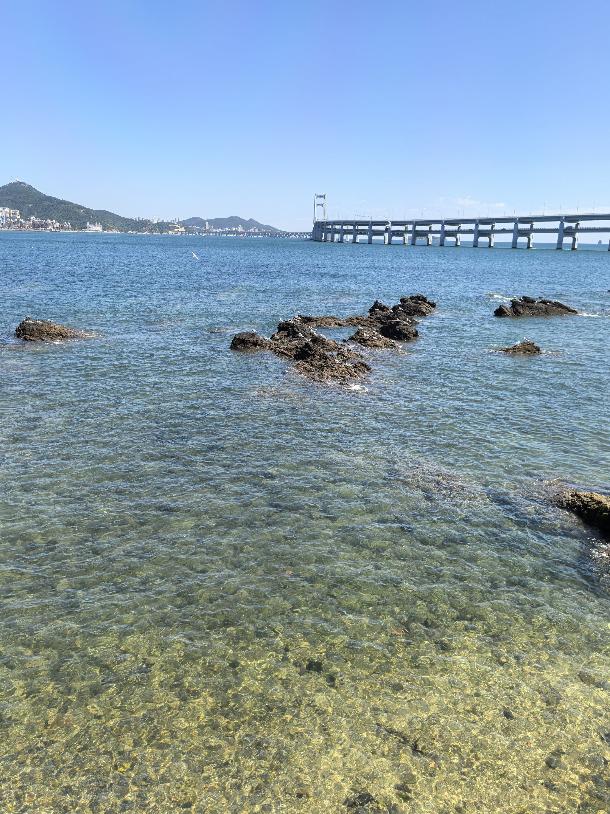 今日的黑石礁公园.海水清澈,北风凉爽,海边的人也少多了