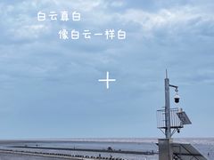 -南汇新城海滩