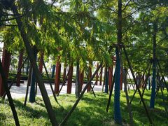 -春花秋色城市公园