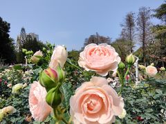 -人民公园(罗湖区)