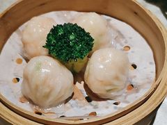 -南海渔村(珠江新城店)