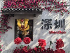 -观澜山水田园