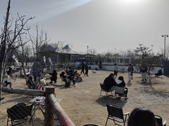 -爪吧宠物乐园·宠物泳池(温榆河示范区店)