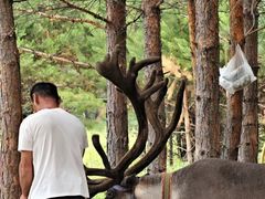-北极村旅游风景区