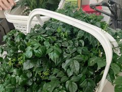 -鹿岛生活(熙地港店)