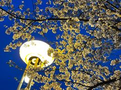 -太湖湖滨国家湿地公园-停车场