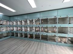 -萌宠之家·腊肠犬·马尔泰·小体犬舍