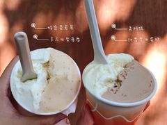 -Dip in Gelato(富民路店)