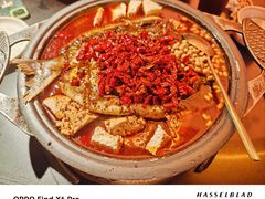 -探鱼·鲜青椒爽麻烤鱼(三水广场店)