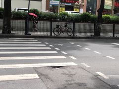 -虾饺妹·粤式手工点心(水荫路店)