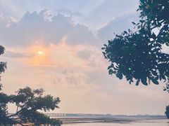 -宝安西湾红树林湿地公园