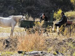 -芦芽山旅游度假区